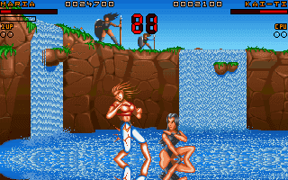 Gameplay scene 5 from Ultimate Body Blows (Team 17)