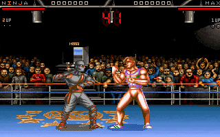 Gameplay scene 4 from Ultimate Body Blows (Team 17)